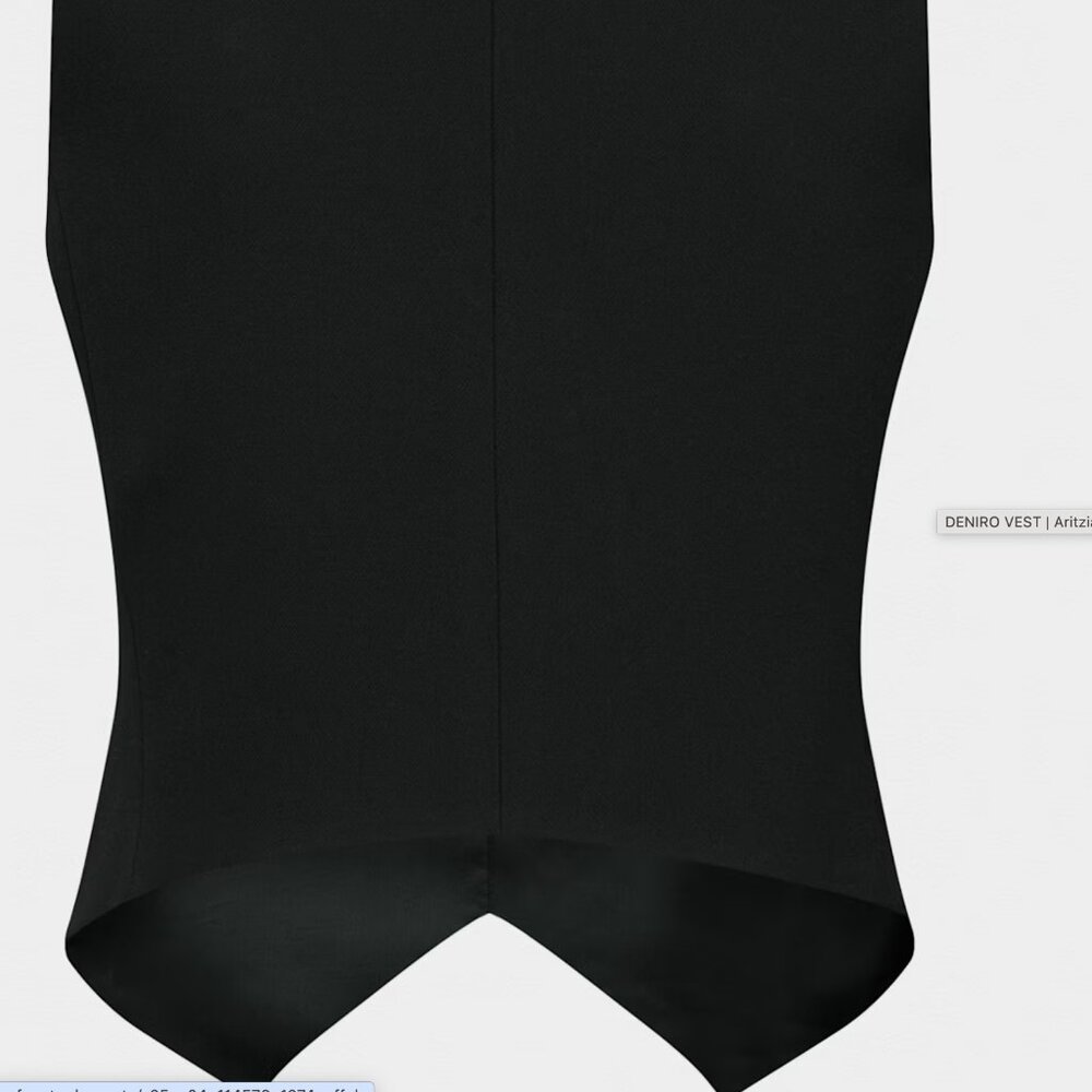 Aritzia Babaton Deniro Vest